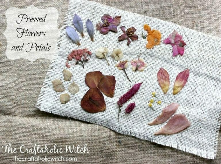 How to Dry or Press Flowers & Petals without Damaging