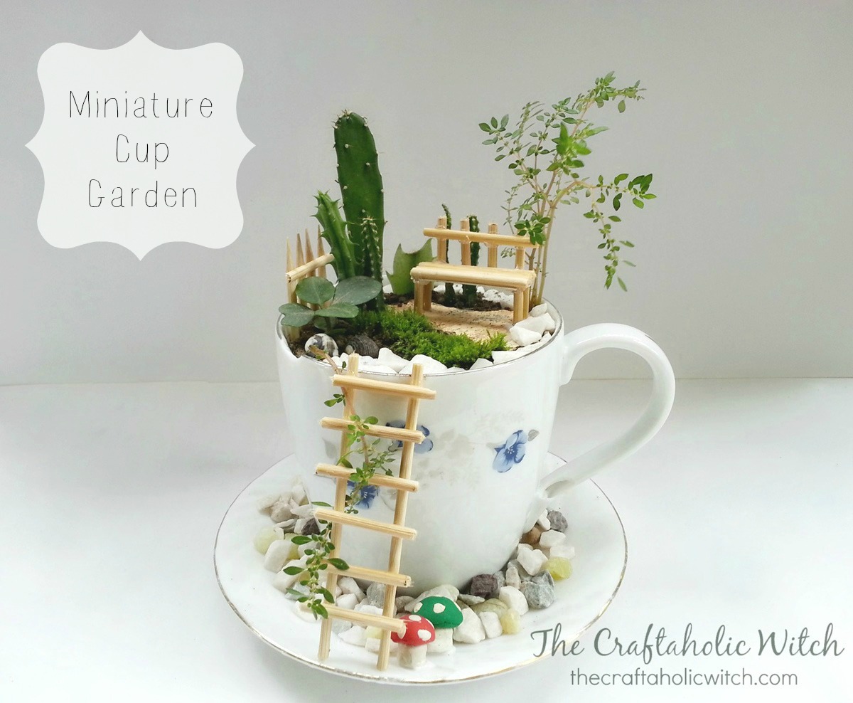 mini cup garden