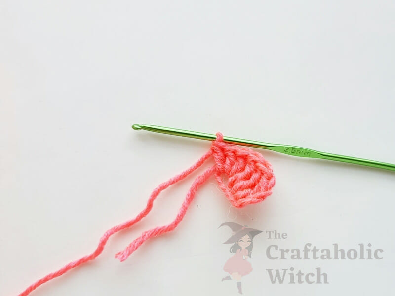 step 3- DC through magic ring step 3- DC through magic ring