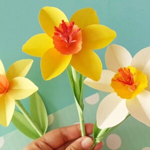 Finished paper daffodil flowers made from yellow craft paper with orange corona