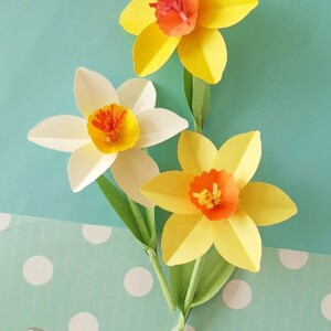 Finished paper daffodil flowers made from yellow craft paper with orange corona