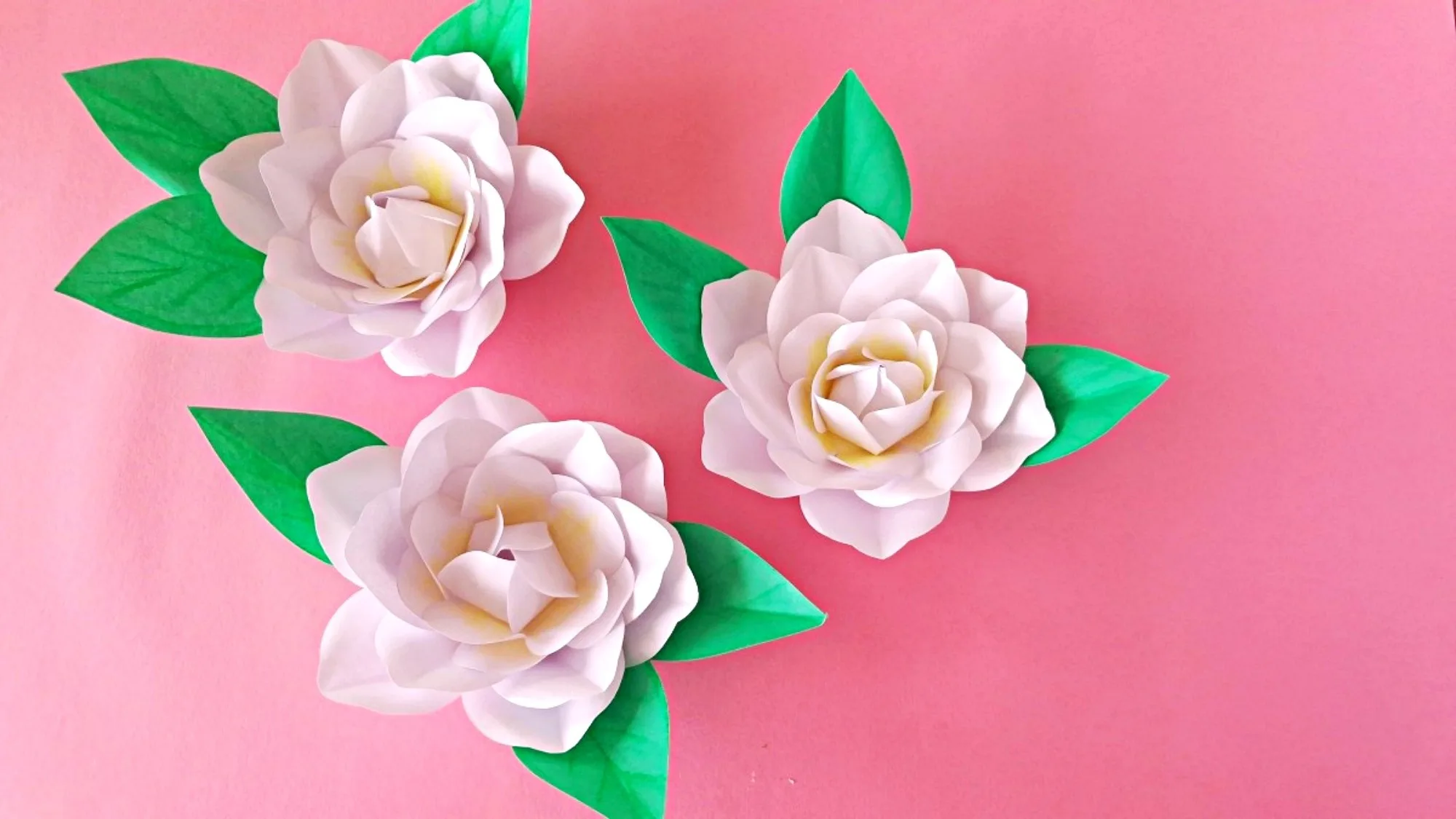 Finished realistic paper gardenia flowers Three realistic paper gardenia flowers made using this tutorial