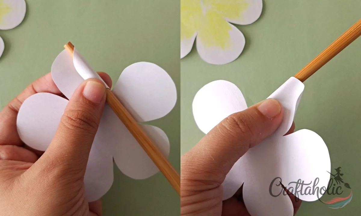 How to Make a Realistic Paper Gardenia Flower 8 Curling a white paper gardenia petal outward on one side and inward on the other